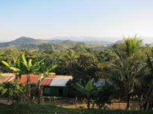 Image: ferme aux environs de La Dalaia, Nicaragua
