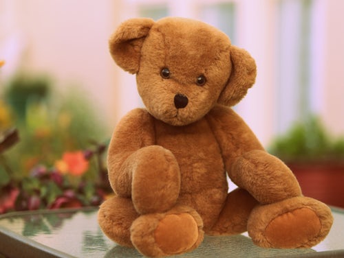 teddy the bear