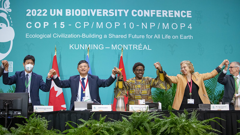 Nouvel accord mondial pour la biodiversité : quels enjeux pour la Suisse ?